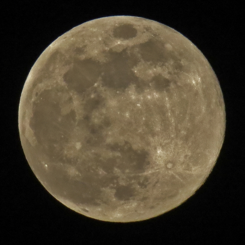c0183777_20114313.jpg