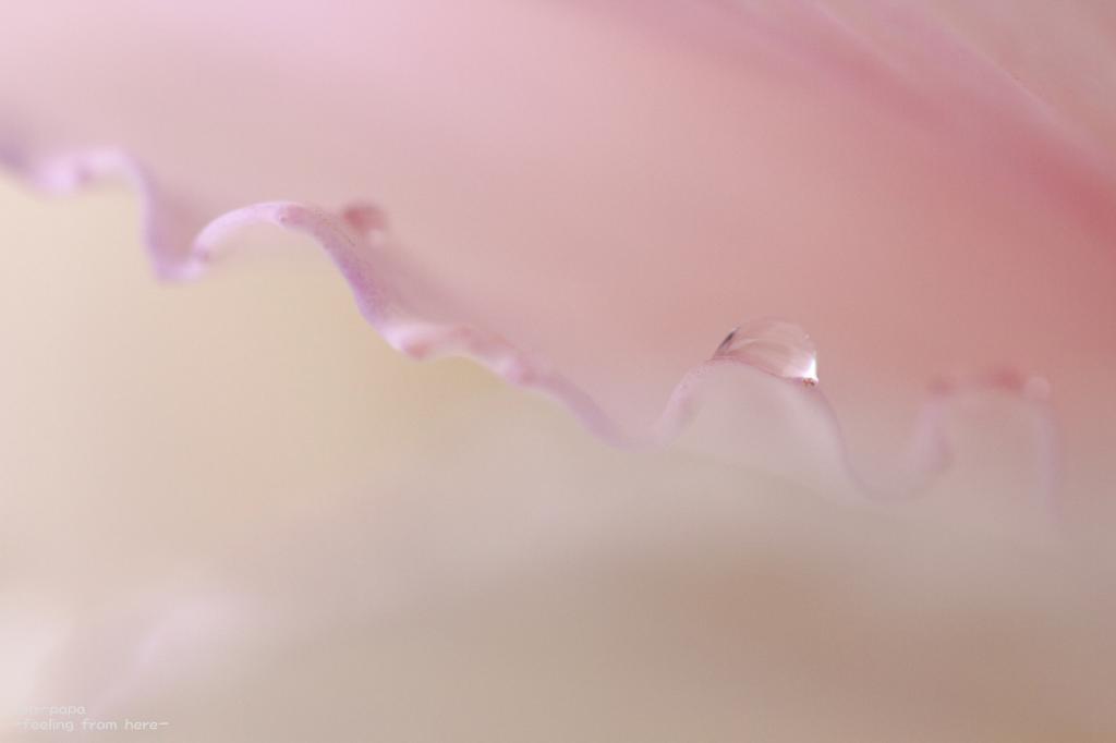c0356480_20234537.jpg