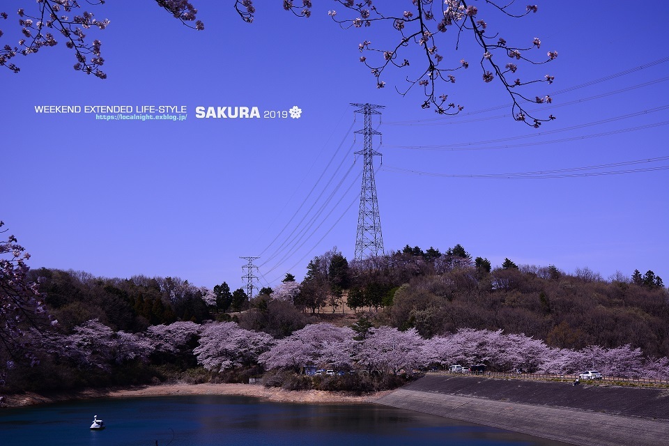 2019 SAKURA その８　竹沼貯水池_f0345580_19564929.jpg