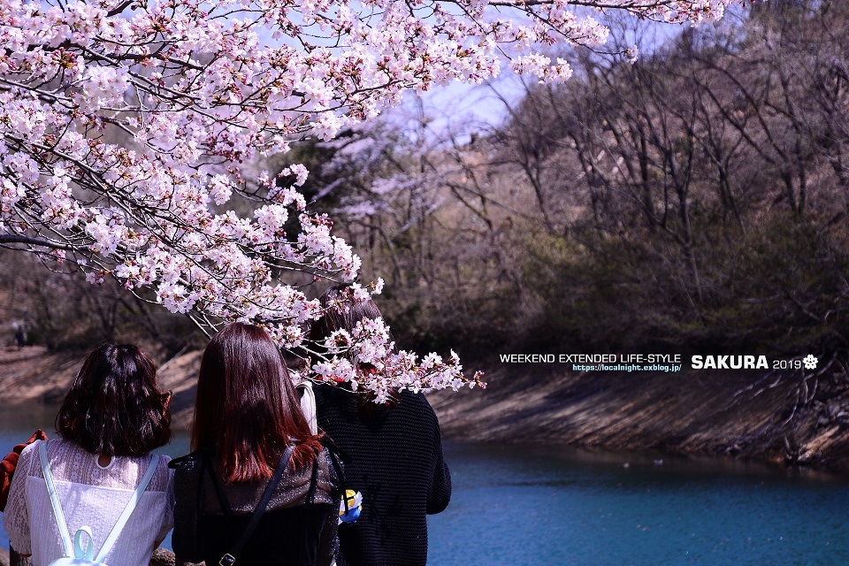 2019 SAKURA その８　竹沼貯水池_f0345580_19570627.jpg