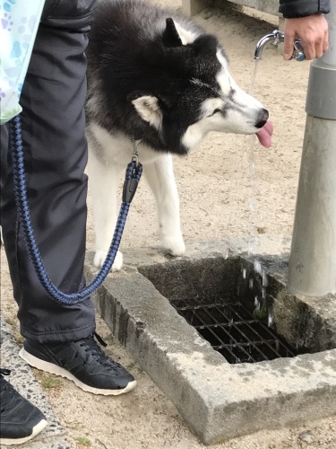 f0315081_21591314.jpeg
