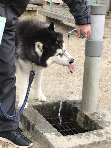 f0315081_21593836.jpeg