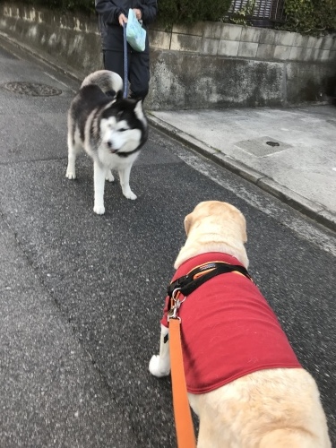 f0315081_22003160.jpeg