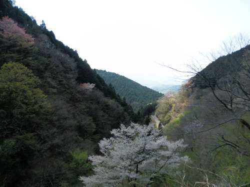 b0334084_21382550.jpg