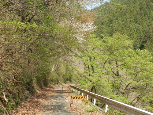 b0334084_22553684.jpg
