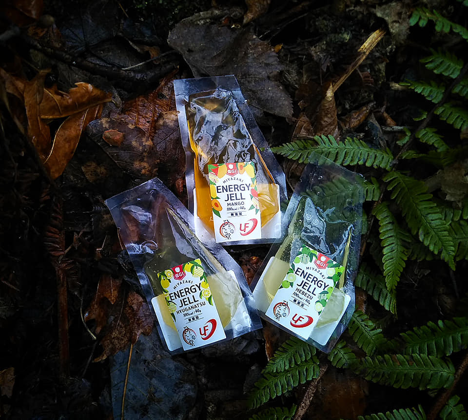 普段食べても美味しい「低GI宮崎エナジージェル」新入荷_d0198793_23455646.jpg