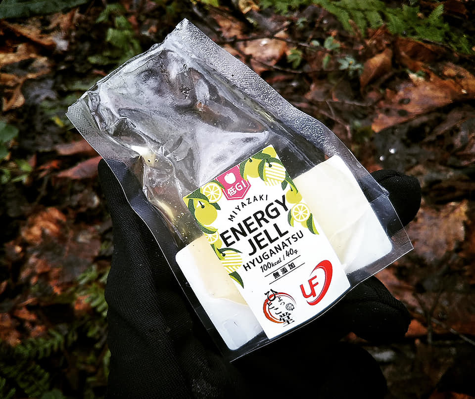 普段食べても美味しい「低GI宮崎エナジージェル」新入荷_d0198793_23455793.jpg