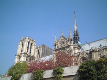 c0339296_11355076.jpg