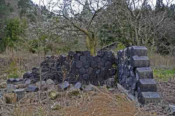 尾小屋鉱山の亀甲カラミ_f0173596_18084849.jpg