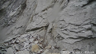鵡川ソロ・ニニウ調査・沙流川・豊平川・二段ウェーブ・シーソラプチ川・石狩川愛別区間・音更川・三笠ホール_f0164003_12004376.jpg