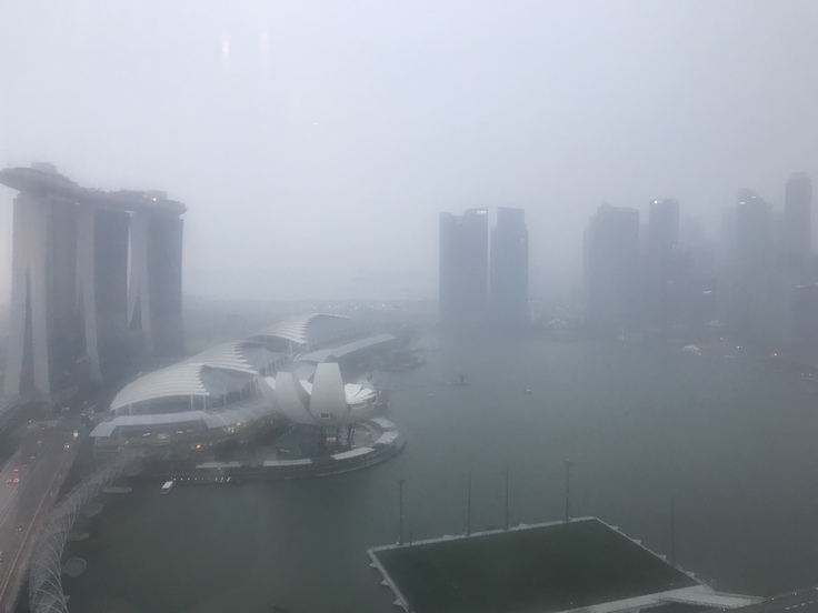 4/20☆とうとう大雨になりました。(つД`)ノ_c0212604_1953256.jpg