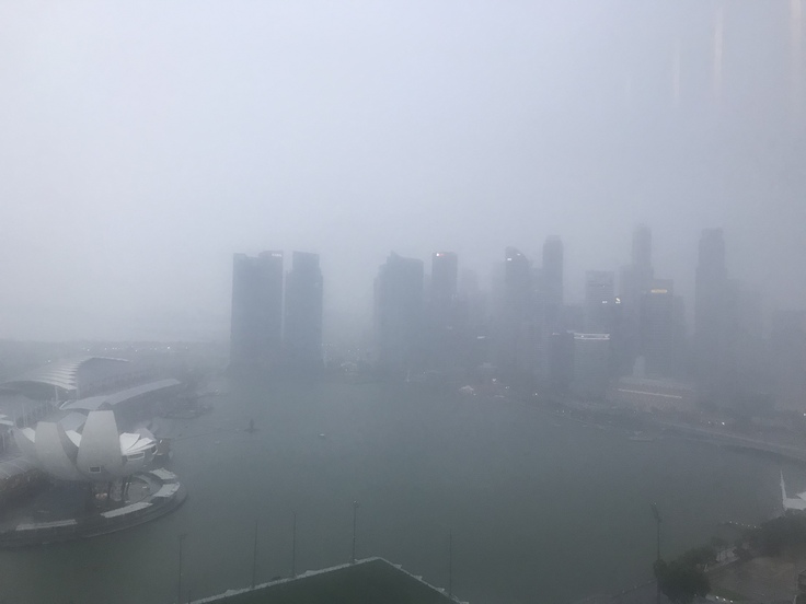 4/20☆とうとう大雨になりました。(つД`)ノ_c0212604_1954617.jpg
