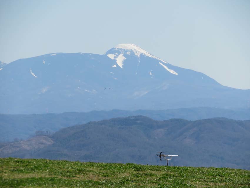 桜あちこち２_f0014205_19465643.jpg