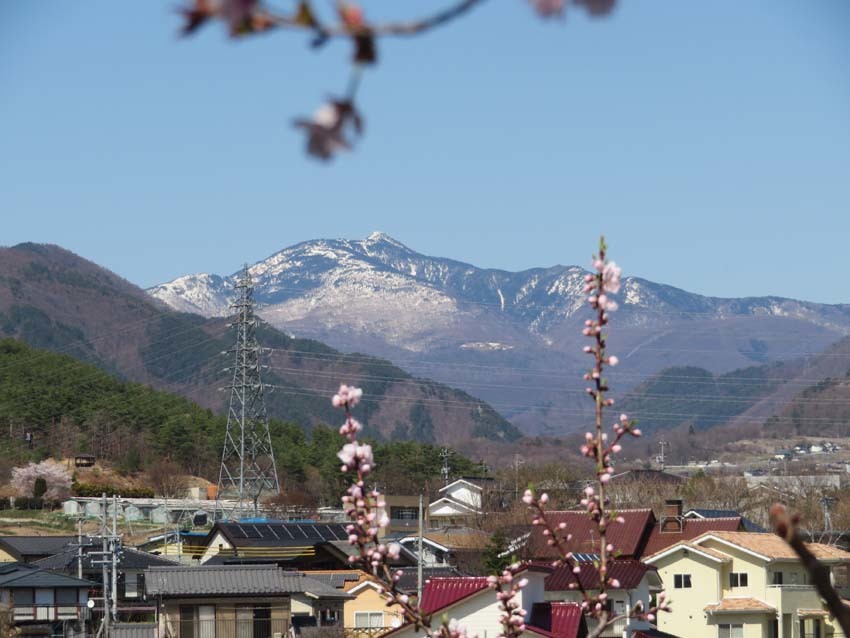 桜あちこち２_f0014205_19465657.jpg