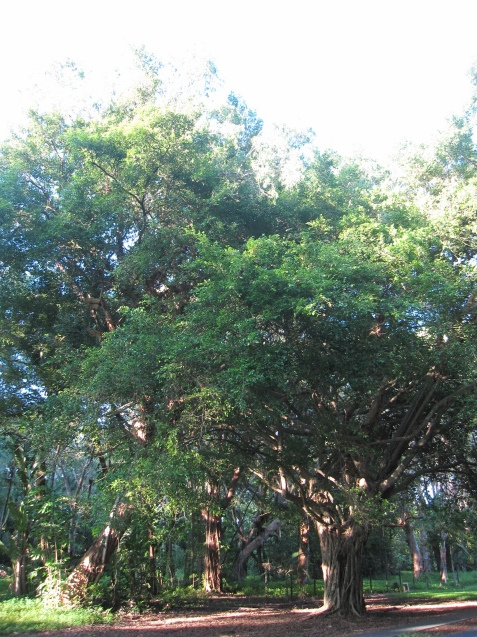 d0327506_23330748.jpg