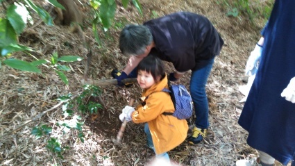 タケノコ掘り体験大好評_c0280108_22244439.jpg