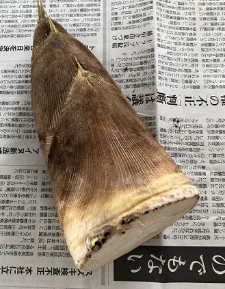 f0371014_17113054.jpg