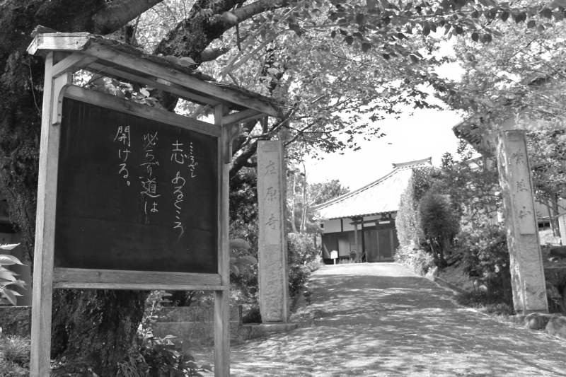 第8回 一人茶会 ご案内_b0220318_15301704.jpg