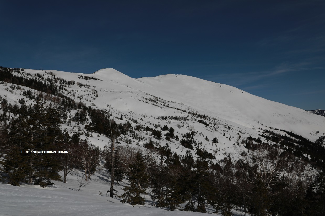 b0062024_17351536.jpg