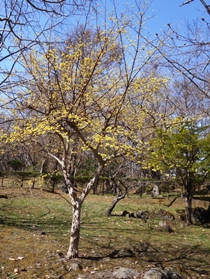 c0204725_15424425.jpg