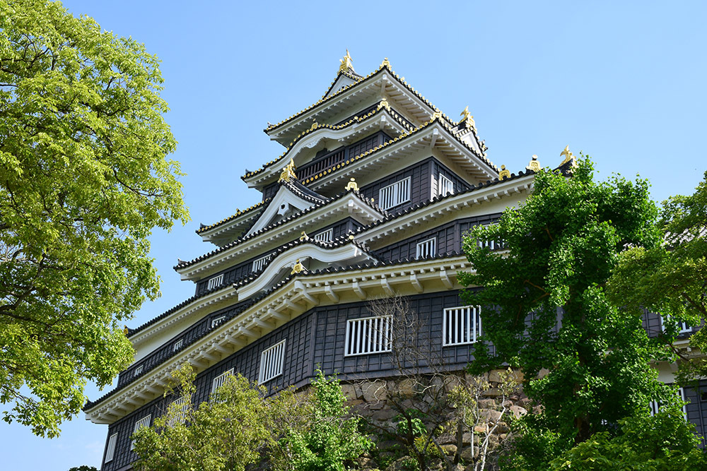 漆黒の烏城、備前岡山城を歩く。　その２「本丸下の段」_e0158128_21075491.jpg