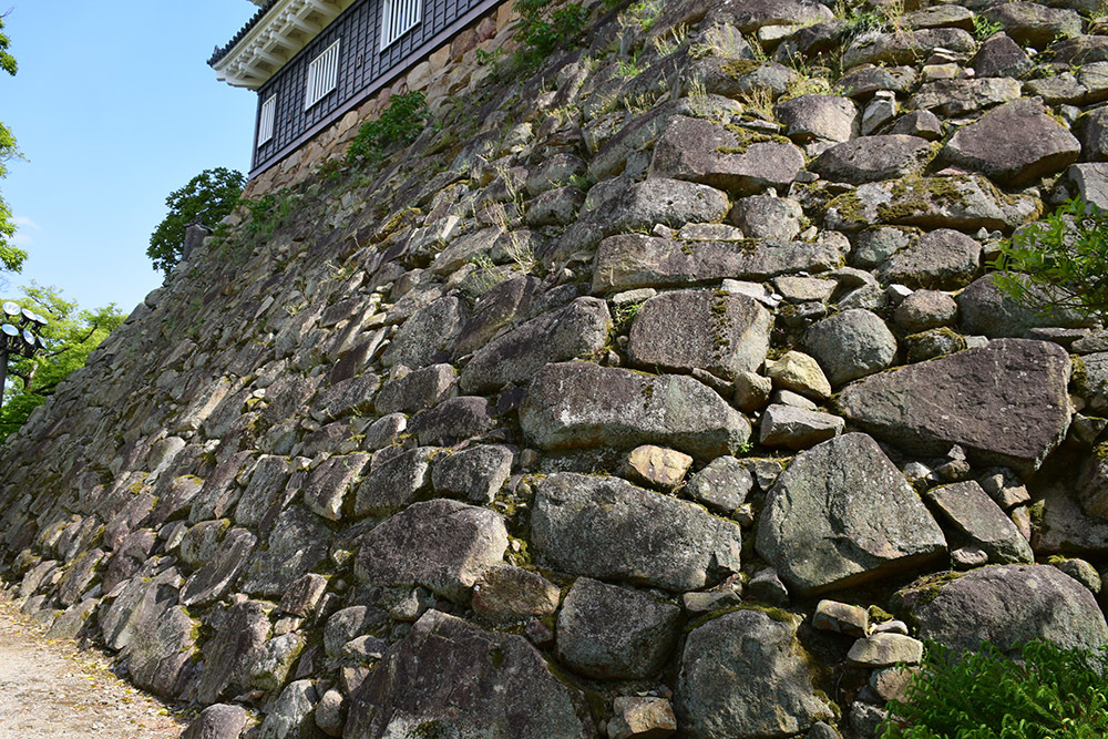 漆黒の烏城、備前岡山城を歩く。 その2「本丸下の段」_e0158128_21102271.jpg