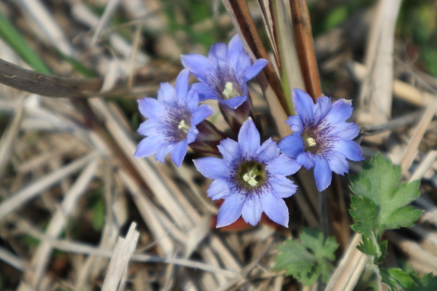e0272335_58551.jpg