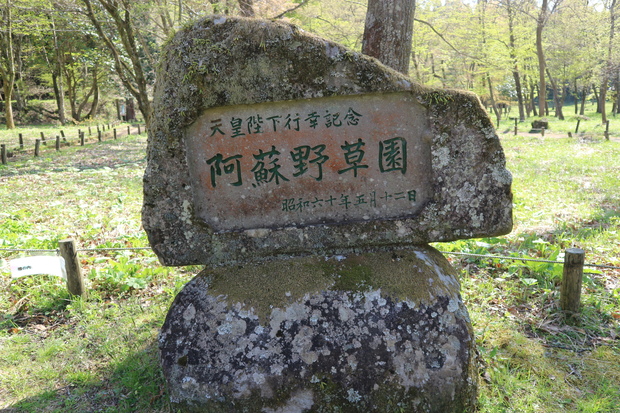 清栄山＆宮地嶽＆らくだ山公園＆阿蘇野草園！_e0272335_8254279.jpg