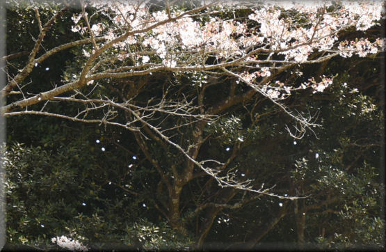 f0363141_07580840.jpg