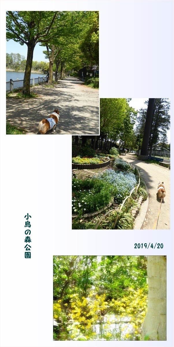 浮間舟戸公園の春_c0128342_22463863.jpg