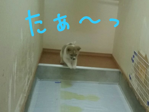 e0291042_01260400.png