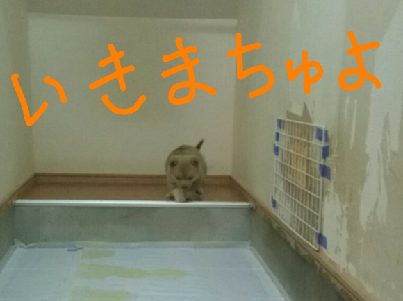 e0291042_01345693.png