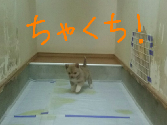 e0291042_01355873.png