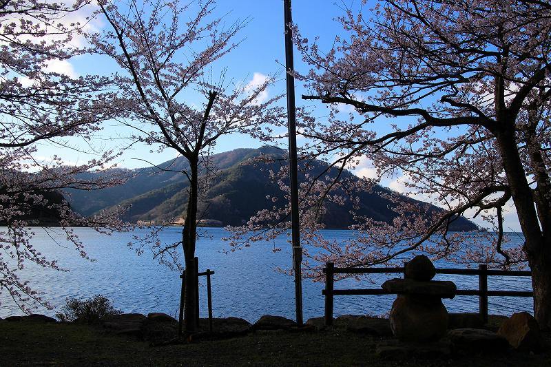 海津の桜と奥琵琶湖（滋賀）20190411_e0237645_23055952.jpg