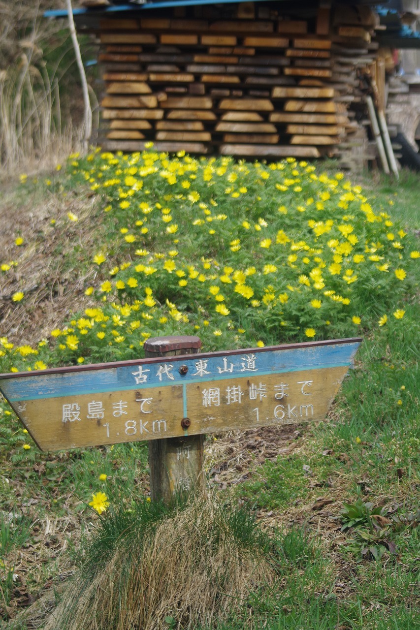 f0114346_07284834.jpg