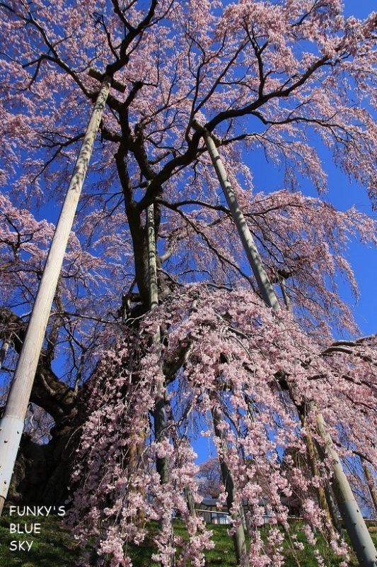c0145250_11090936.jpg