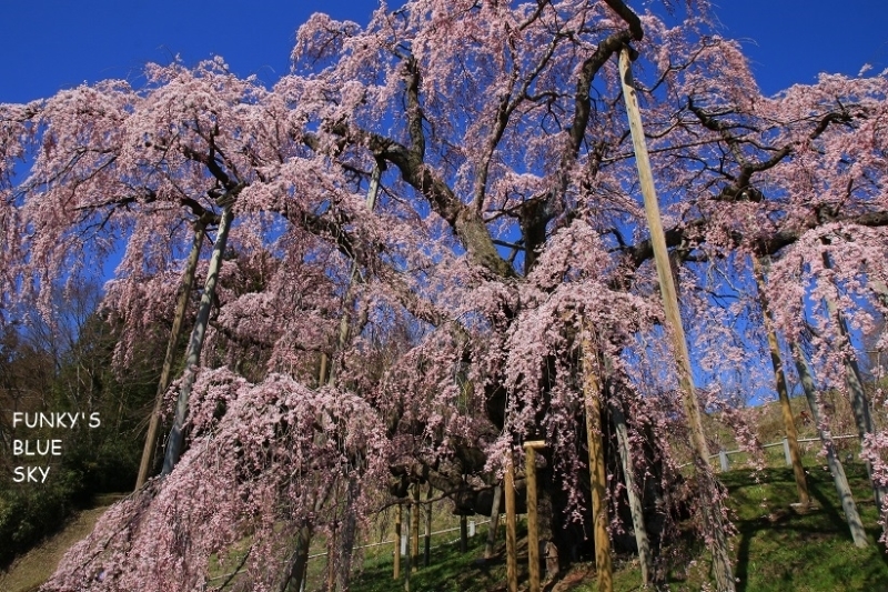 c0145250_11091759.jpg