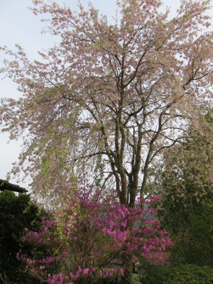 c0367054_22090001.jpg
