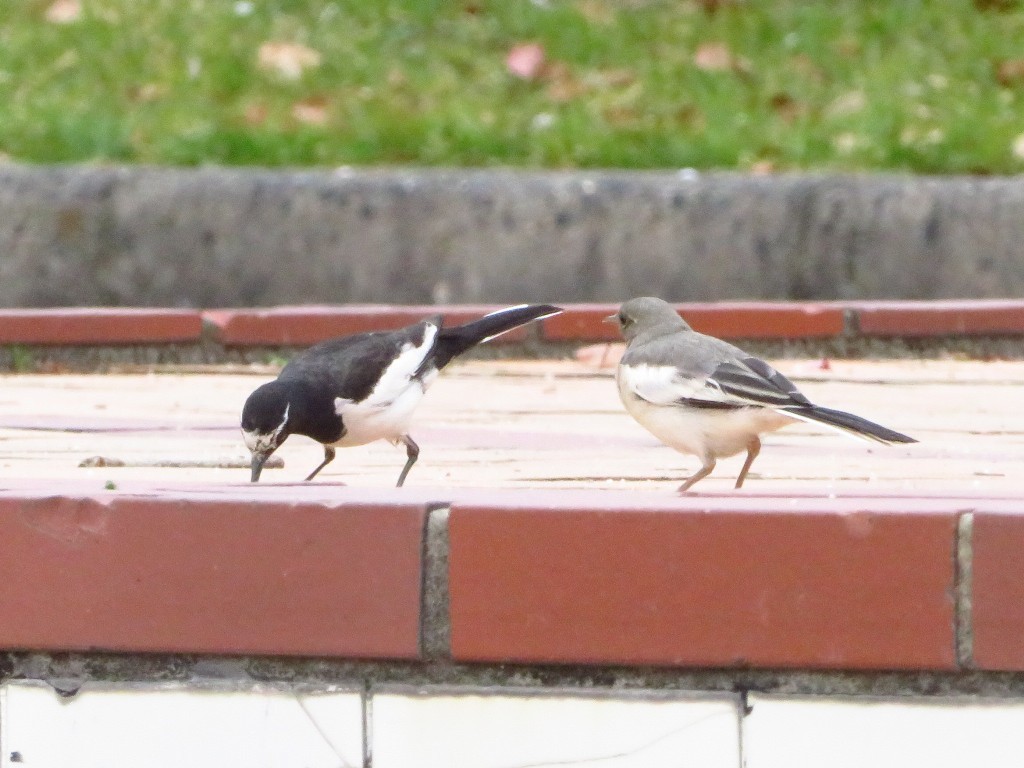 a0018655_09524680.jpg