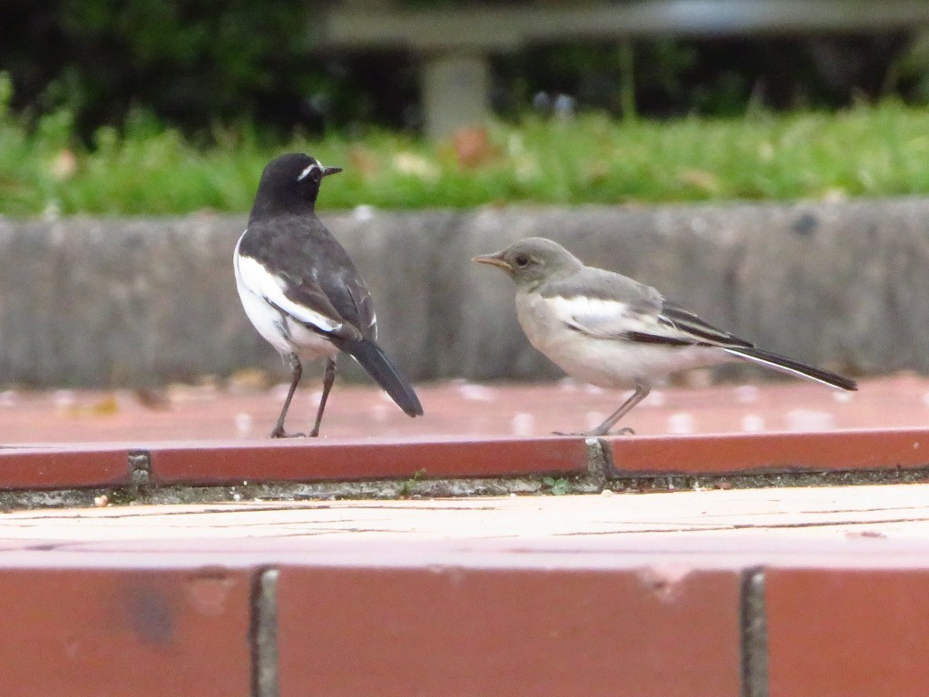 a0018655_09524690.jpg