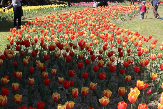 e0313457_22322027.jpg