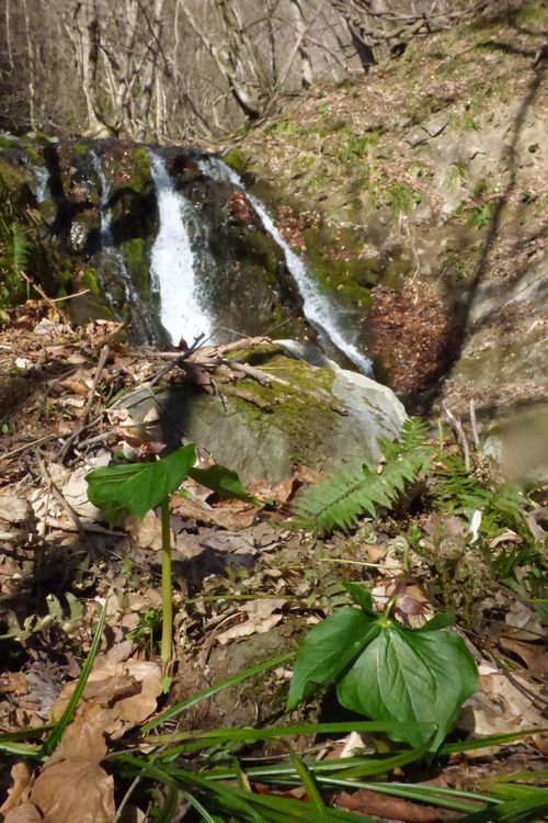 c0294658_21372510.jpg