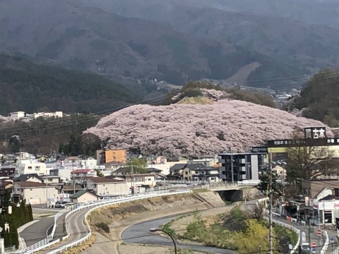 a0110259_15543796.jpeg