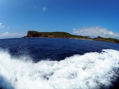 4月20日 晴れて、北風♪_d0113459_17445900.jpg