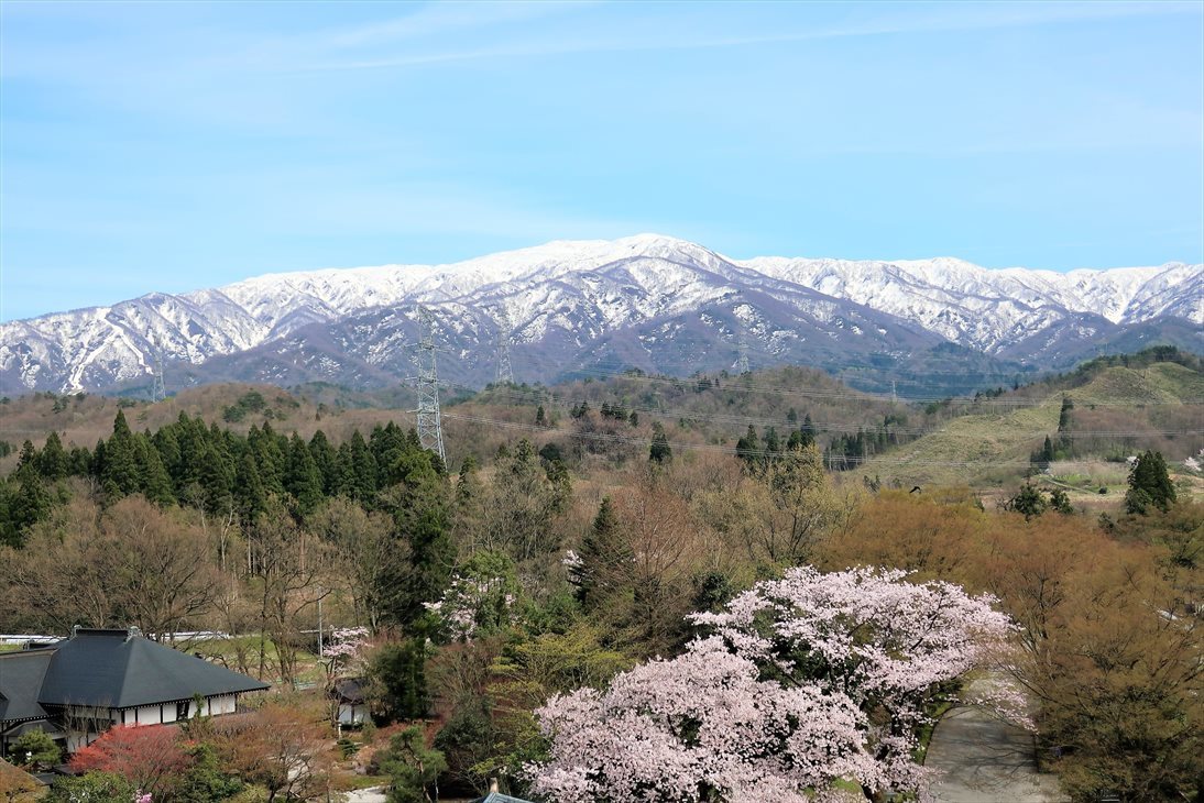 変わらぬ風景ー85　里山の桜たち～満月_b0191160_19463838.jpg