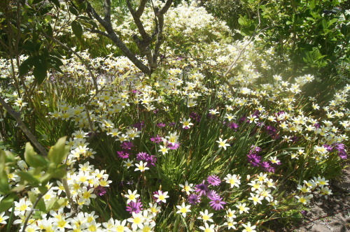 e0181373_20105262.jpg