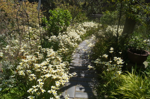 e0181373_20110178.jpg