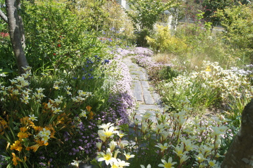 e0181373_20113228.jpg