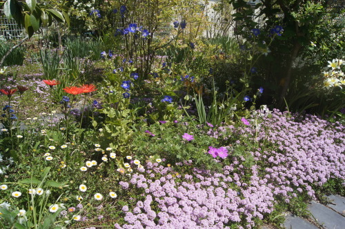 e0181373_20114423.jpg