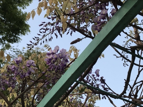 f0315081_22165529.jpeg